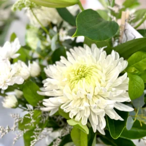 FRESH WHITE CHRYSANTHEMUM BOUQUET - Image 2