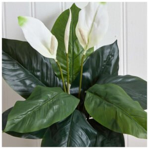 ARTIFICAL PEACE LILY FLOWER 1PC - Image 4