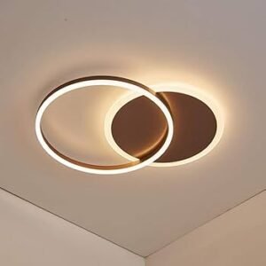 CEILING LIGHT 2-CIRCLE 20" - Image 2