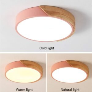 ROUND CEILING LIGHT - Image 2