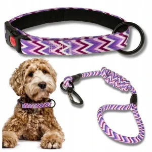 A HARNESS AND MATCHING LEASH 1PC - Image 4