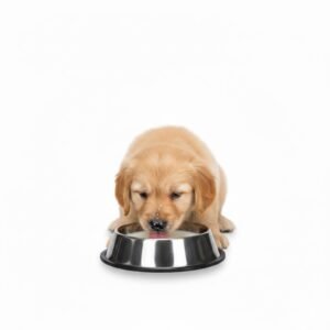 DOG FOOD BOWL STAINLESS - SMALL - Image 3